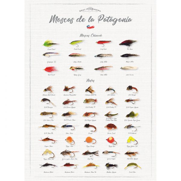 Poster Moscas de la Patagonia (Chinook-Ninfas)