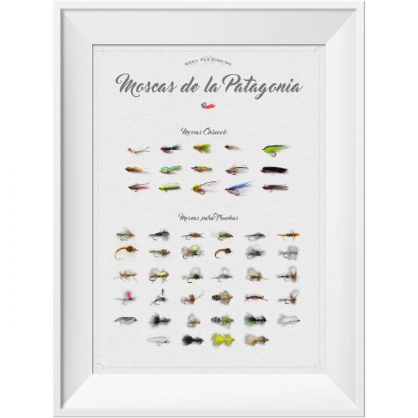 Poster Moscas de la Patagonia (Chinook-Para Truchas)