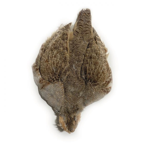 Grade #1 Hungarian Partridge Skin Natural