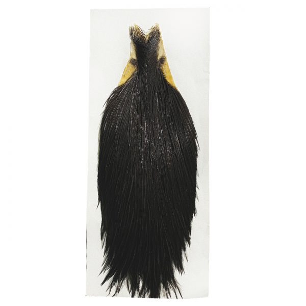 Keough Neck Black #1
