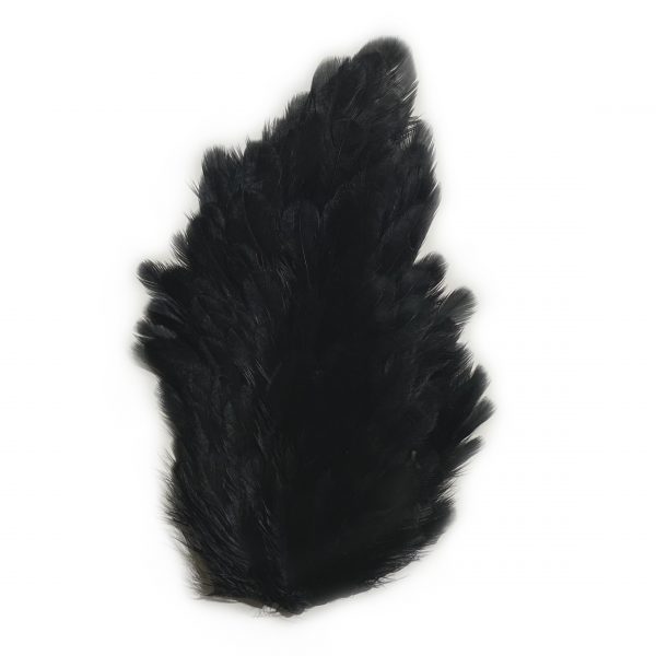 India Hen Back Black
