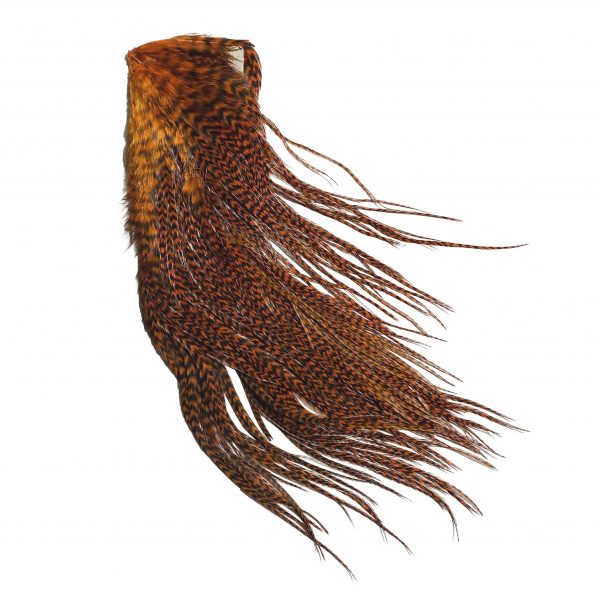 Half Grizzly Saddler Orange