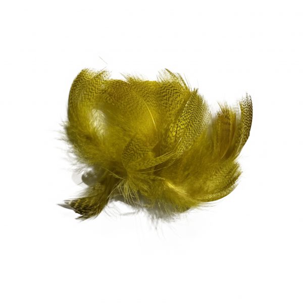 Mallard Flank Yellow