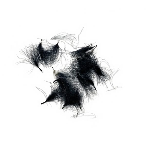 CDC Olier Puffs Black