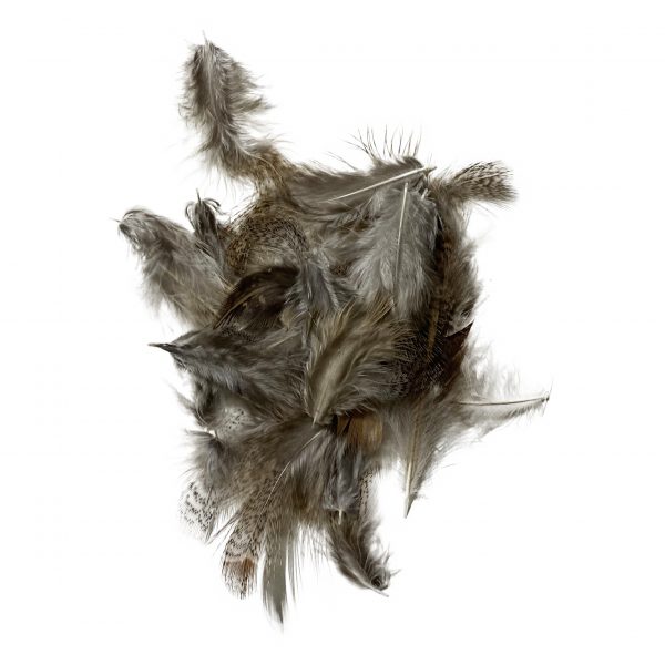 Premium Hungarian Partridge Feathers Natural