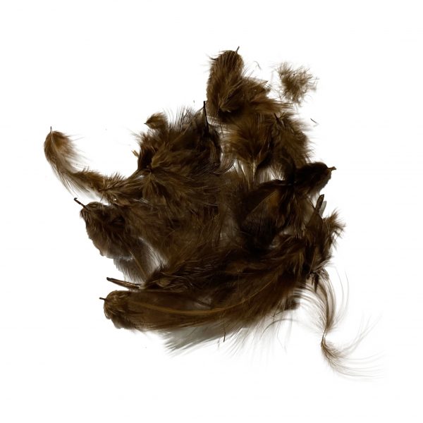 Dyed Brown Hungarian Partridge Feathers