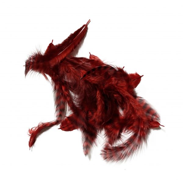 Grizzly Soft Hackle Red