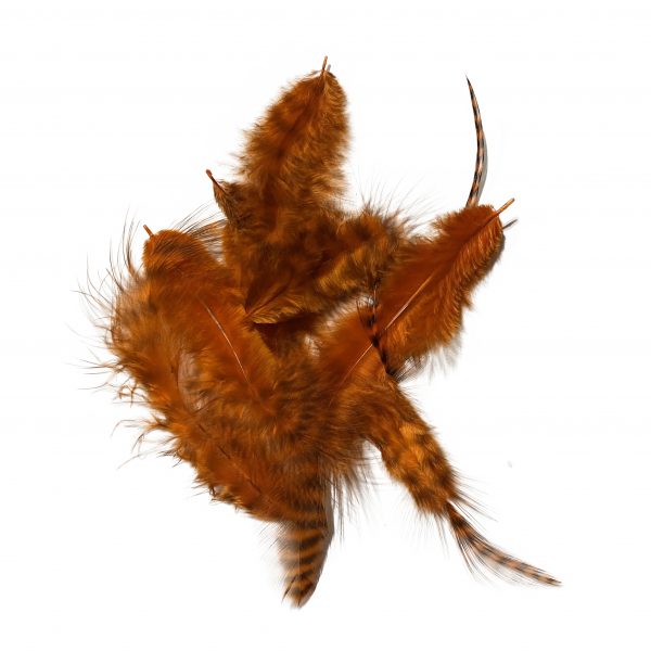 Grizzly Soft Hackle Orange