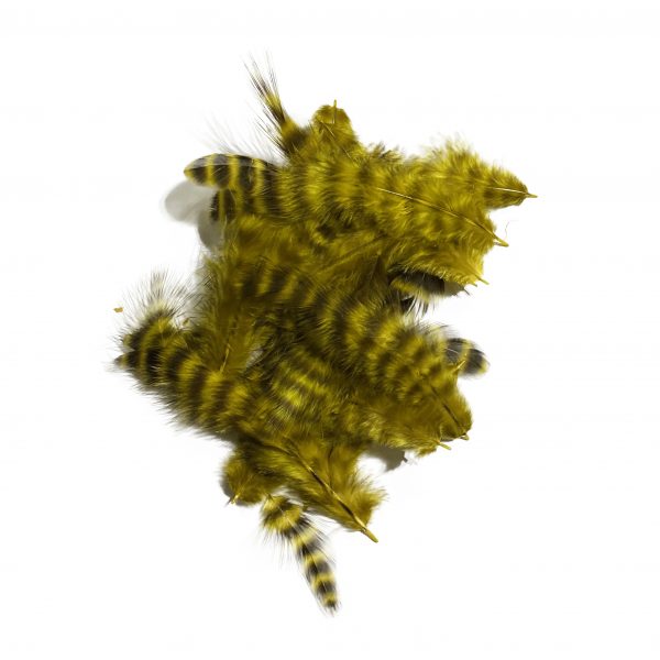 Grizzly Soft Hackle Yellow