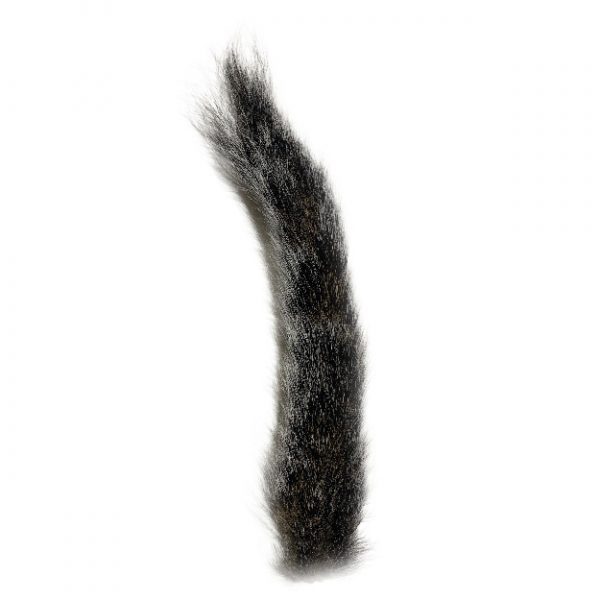 Gray Squirrel Tail Natural