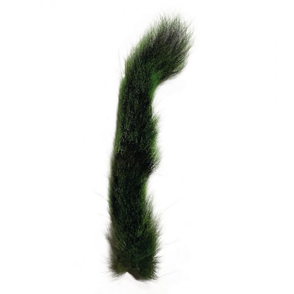 Squirrel Tail Green