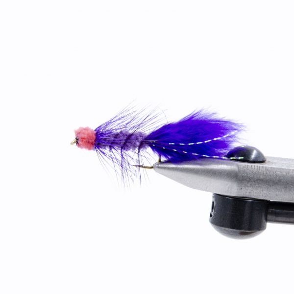 Egg Suking Woolly Bugger - Purple