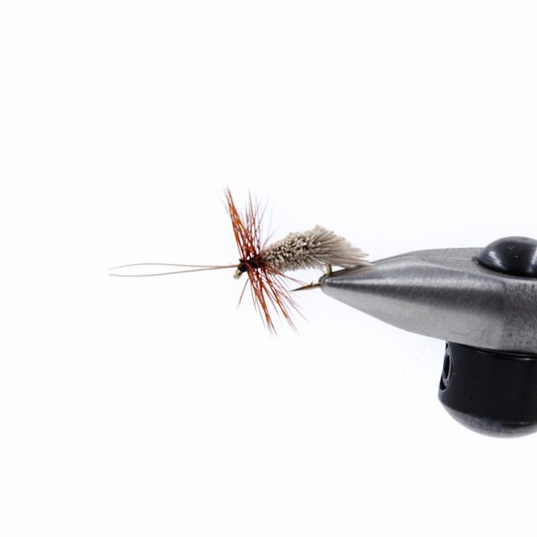 Goddar Caddis - Natural
