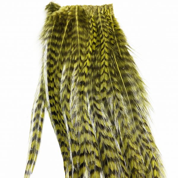Bugger Hackle Patches Grizzly Olive