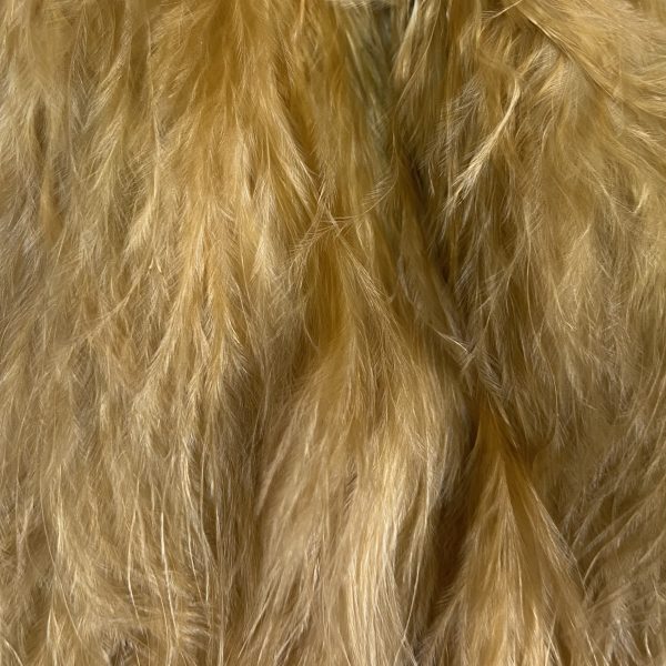 Marabou Blood Quills Ginger #149