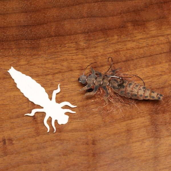 Cohen's Dragon Fly Nymph Body - Imagen 2