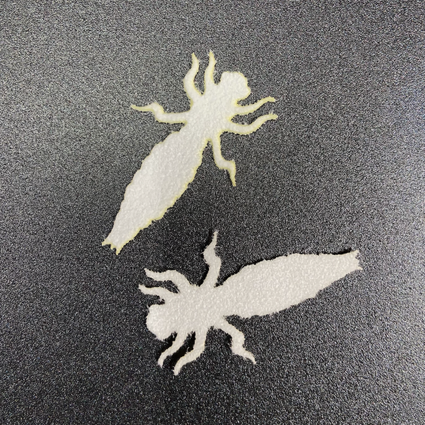 Cohen's Dragon Fly Nymph Body