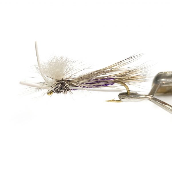 Swisher PMX - Purple #8
