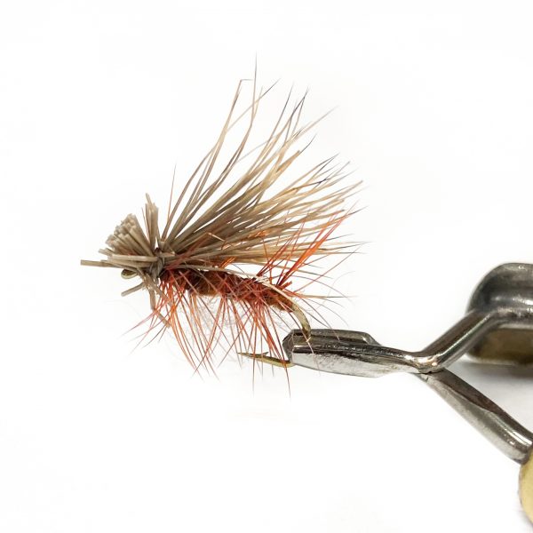 Elk Caddis - Brown #12