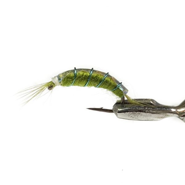 Scud - Olive #12