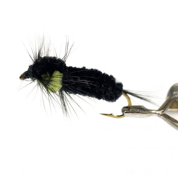 Montana Nymph #6