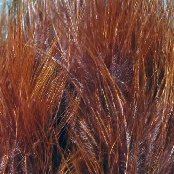 Marabou Blood Quills Rusty Brn #323