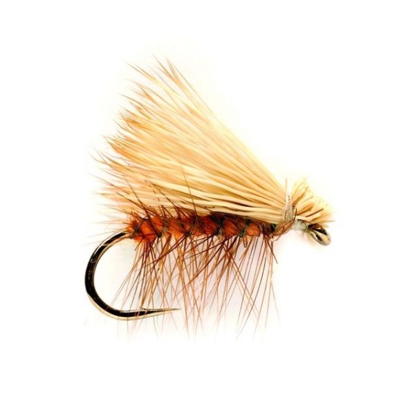 Elk Wing Caddis Orange #12