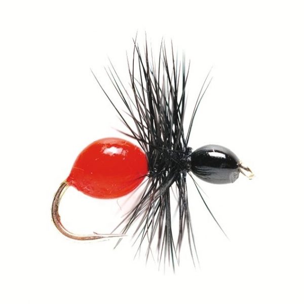 Hard Body Ant #14