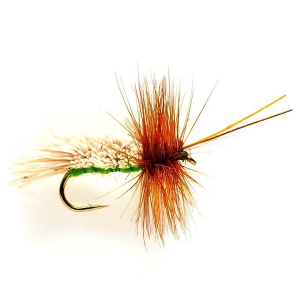 Goddard Green Sedge #10