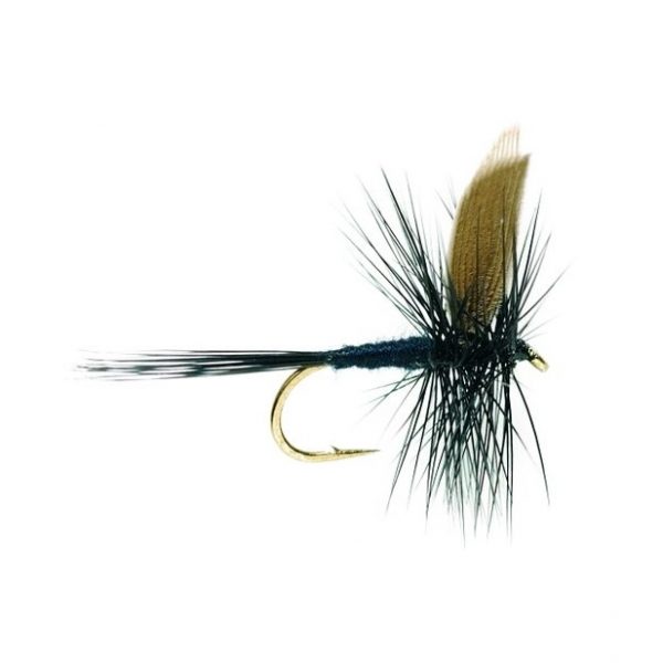 Black Gnat #12