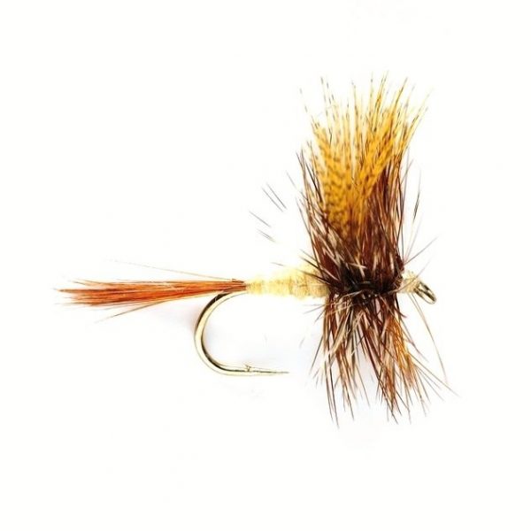 March Brown #12