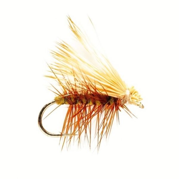 Elk Wing Olive #10