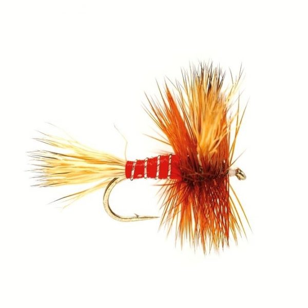 Red Wulff #12