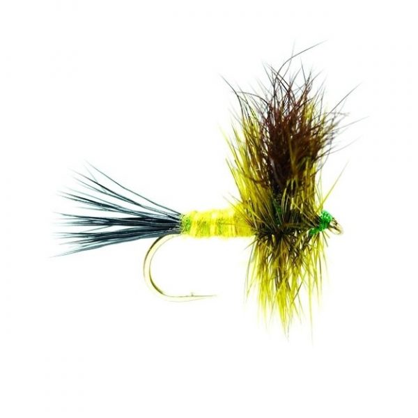 Green Drake #12